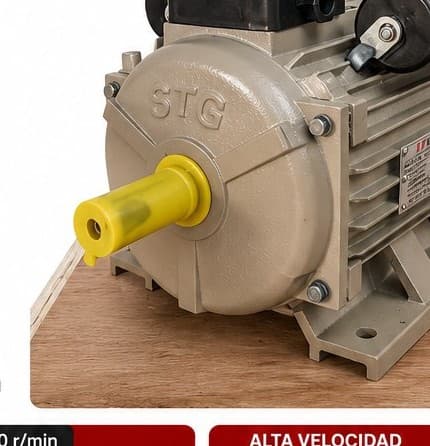 Motor Eléctrico 3 HP 110/220V